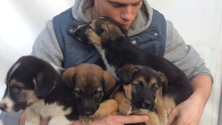 Gus Kenworthy's Love For Puppies Has Him Stuck In Sochi